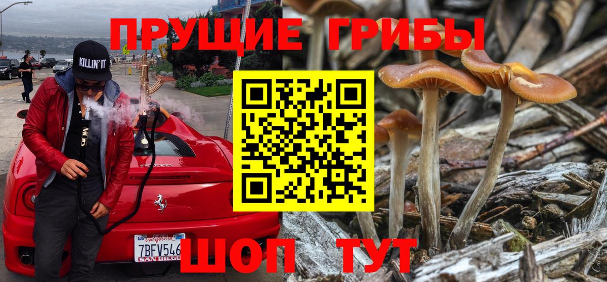 Галлюциногенные грибы Psilocybe  Вход с VPN  Биробиджан  Псилоцибиновые грибы MAGIC MUSHROOMS 